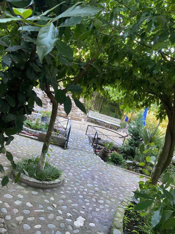 Hotel Holiday House Chkonia Batumi Esterno foto